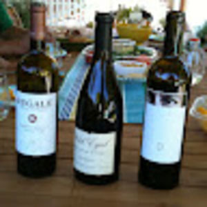 Meet your Posher, Lynn